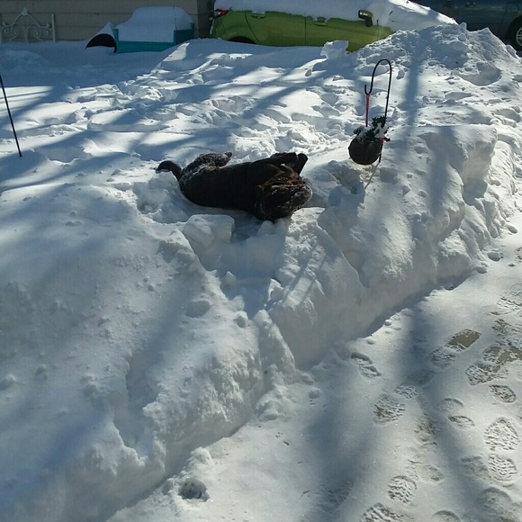 Meet your Posher, Bri - Picture 4 of 9